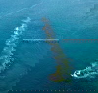 Port Noarlunga Reef Sanctuary Zone - Encounter Marine Park - Rent Accommodation