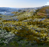 Gold Coast Hinterland Great Walk - Rent Accommodation