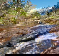 Little Dandahra Creek Walking Track - Rent Accommodation