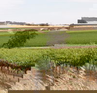 Smidge Wines Tasting Room - Rent Accommodation