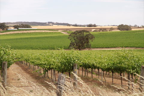 Smidge Wines Tasting Room - Rent Accommodation 0