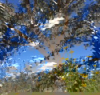 Euroa Arboretum - Rent Accommodation