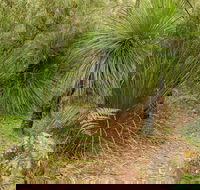 Grass Tree Circuit - Rent Accommodation