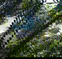Rainforest Walking Track Hat Head National Park - Rent Accommodation