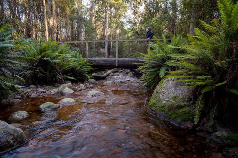 O'Neills Creek Picnic Reserve - Rent Accommodation 0