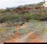Original Glen Helen Homestead - Rent Accommodation