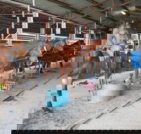 The Equine Club - Rent Accommodation