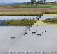 Beardy Waters Dam and Woodlands - Rent Accommodation