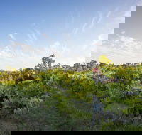 Mclaren Vale - Rent Accommodation