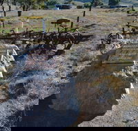 Wangaraleednie Monument  Ruins - Rent Accommodation