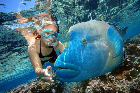 Cairns 2-Day Combo: Great Barrier Reef Cruise And Kuranda - Rent Accommodation 0