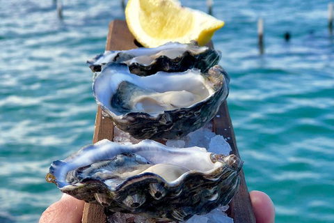 Coffin Bay Oysters, Ocean & Nature Tour - Rent Accommodation 0
