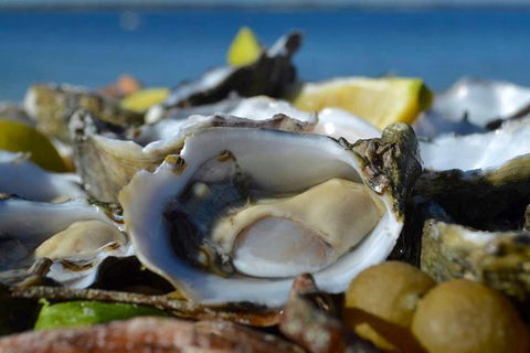 Coffin Bay Oysters, Ocean & Nature Tour - Rent Accommodation 8