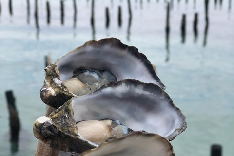 Coffin Bay Oysters, Ocean & Nature Tour - Rent Accommodation 6