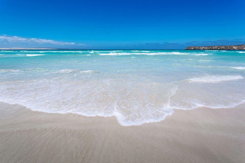 Coffin Bay Oysters, Ocean & Nature Tour - Rent Accommodation 14