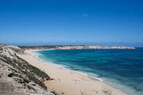 Coffin Bay Oysters, Ocean & Nature Tour - Rent Accommodation 16