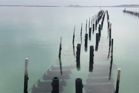 Coffin Bay Oysters, Ocean & Nature Tour - Rent Accommodation 15