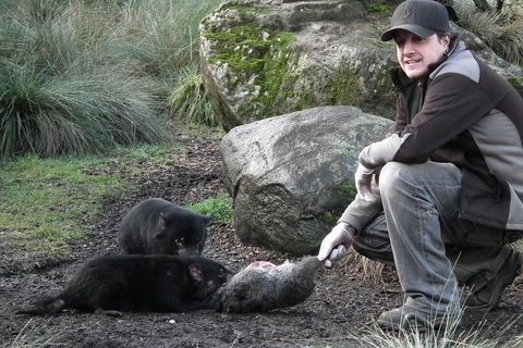After Dark Tasmanian Devil Feeding Tour At Cradle Mountain - Rent Accommodation 0