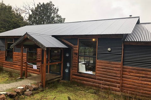 After Dark Tasmanian Devil Feeding Tour At Cradle Mountain - Rent Accommodation 6