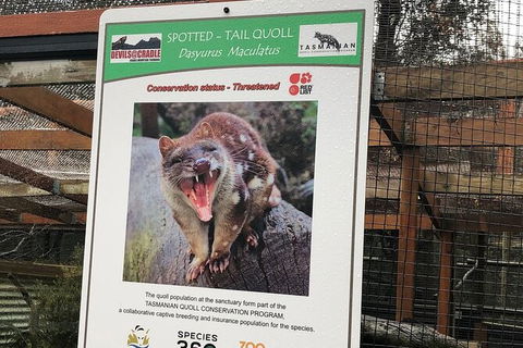 After Dark Tasmanian Devil Feeding Tour At Cradle Mountain - Rent Accommodation 2
