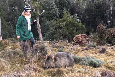 Shore Excursion - Cradle Mountain Day Tour From Burnie - Rent Accommodation 1