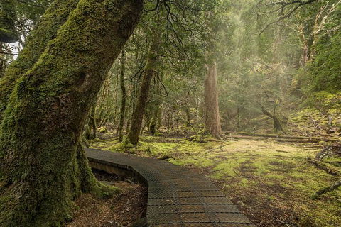 Shore Excursion - Cradle Mountain Day Tour From Burnie - Rent Accommodation 3
