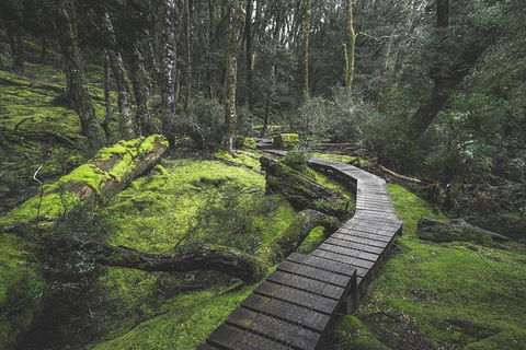 Shore Excursion - Cradle Mountain Day Tour From Burnie - Rent Accommodation 2