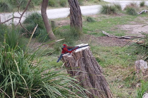 Wilsons Promontory Brainstorming Escape - Rent Accommodation 5