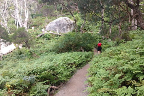 Wilsons Promontory Brainstorming Escape - Rent Accommodation 2