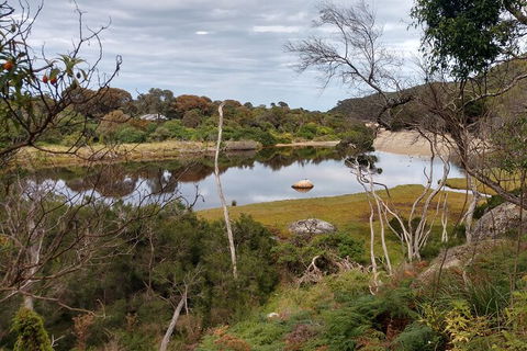 Wilsons Promontory Brainstorming Escape - Rent Accommodation 9