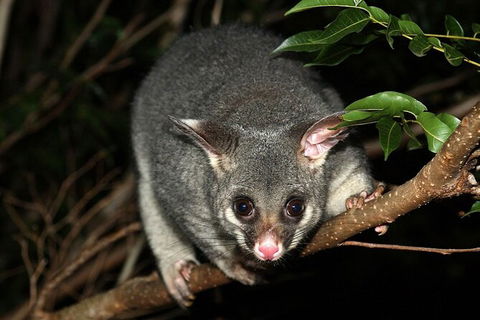Wilsons Promontory Brainstorming Escape - Rent Accommodation 3