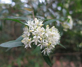 Bamarang NSW Rent Accommodation