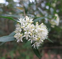 Booderee National Park - Rent Accommodation