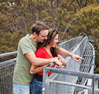 Valley of the Giants Tree Top Walk - Rent Accommodation