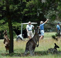 Glen Innes Golf Club - Rent Accommodation