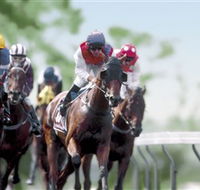 Colac Turf Club - Rent Accommodation