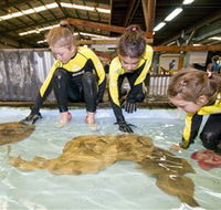 Australian Shark and Ray Centre - Rent Accommodation