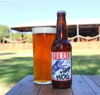 Feral Brewing Company - Rent Accommodation