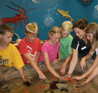 Naturaliste Marine Discovery Centre - Rent Accommodation