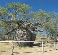 Boab Prison Tree - Rent Accommodation