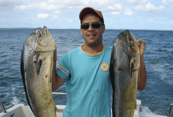 Jervis Bay Fishing and Charters - Rent Accommodation