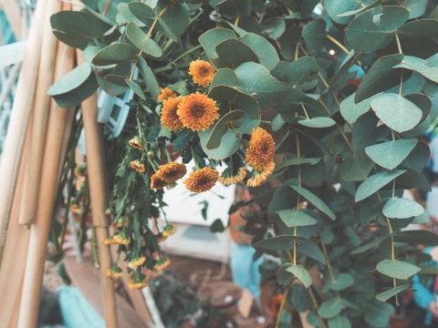 Boho Luxe Market - Adelaide - Rent Accommodation 1