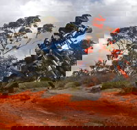 Sunraysia Safari Rally - Rent Accommodation