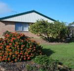 Lemontree Cottage - Rent Accommodation