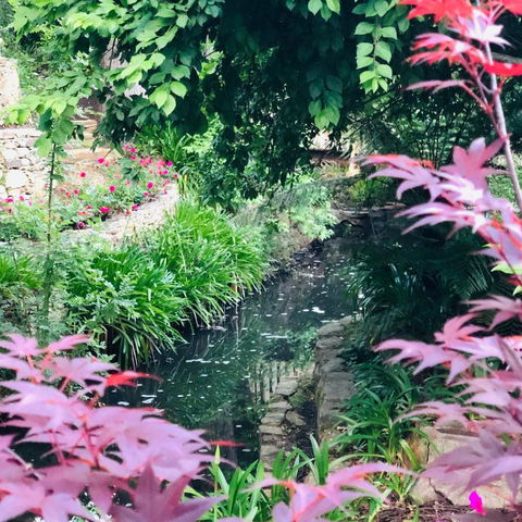 Aldgate Creek Cottage Bed & Breakfast - Rent Accommodation 7