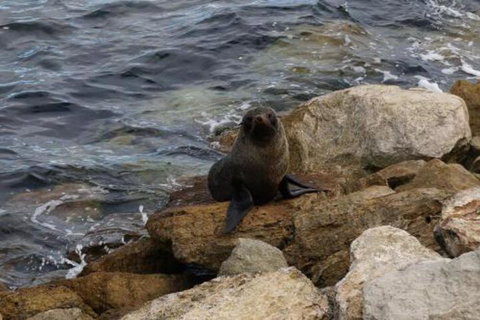 Kohinoor Getaway - Rent Accommodation 5