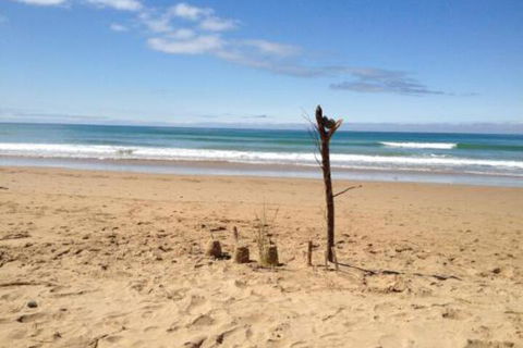 Apollos View Accommodation - Rent Accommodation 4