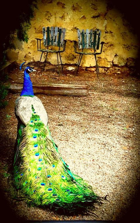 A La Folly - Rent Accommodation 4