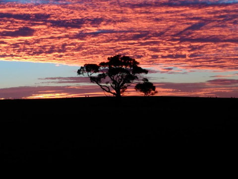 Heartland Hideaway - Rent Accommodation 3