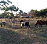 Heartland Hideaway - Rent Accommodation